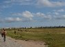 panorama's